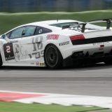 TLambo2010Tenchini-(3)
